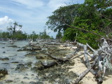 bintan/2007_09020088.JPG